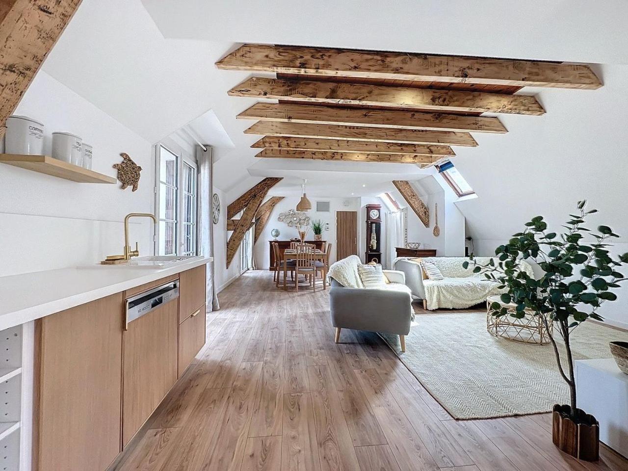 Apartment Parenthese Le Pic Du Midi - 110m² Bagneres-de-Bigorre