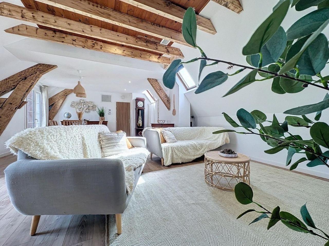 Parenthese Le Pic Du Midi - 110m² Apartment Bagneres-de-Bigorre